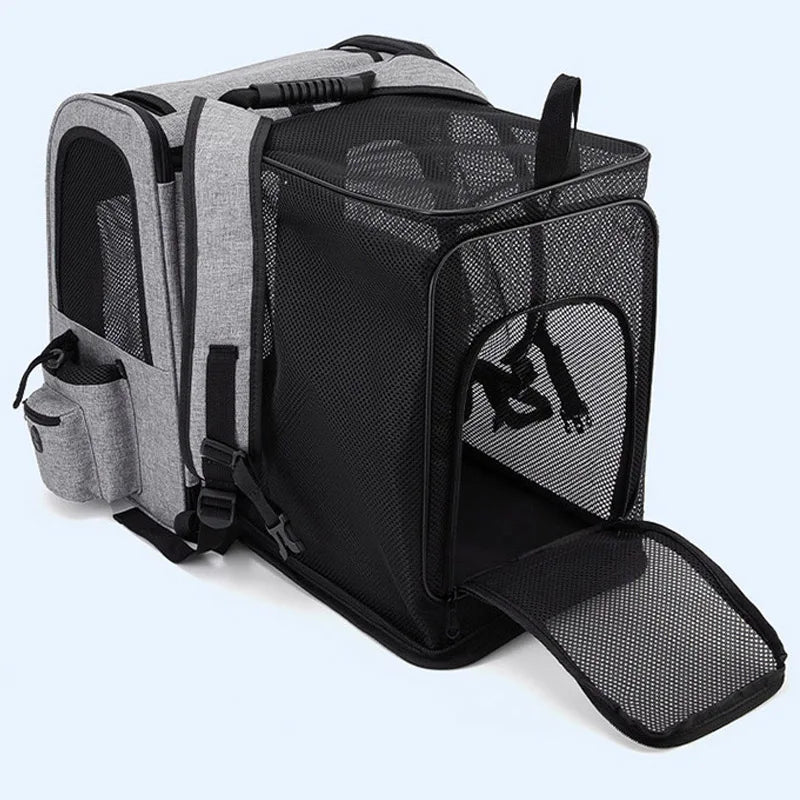 Sac de Transport Chat Dorsal Pliable Extensible