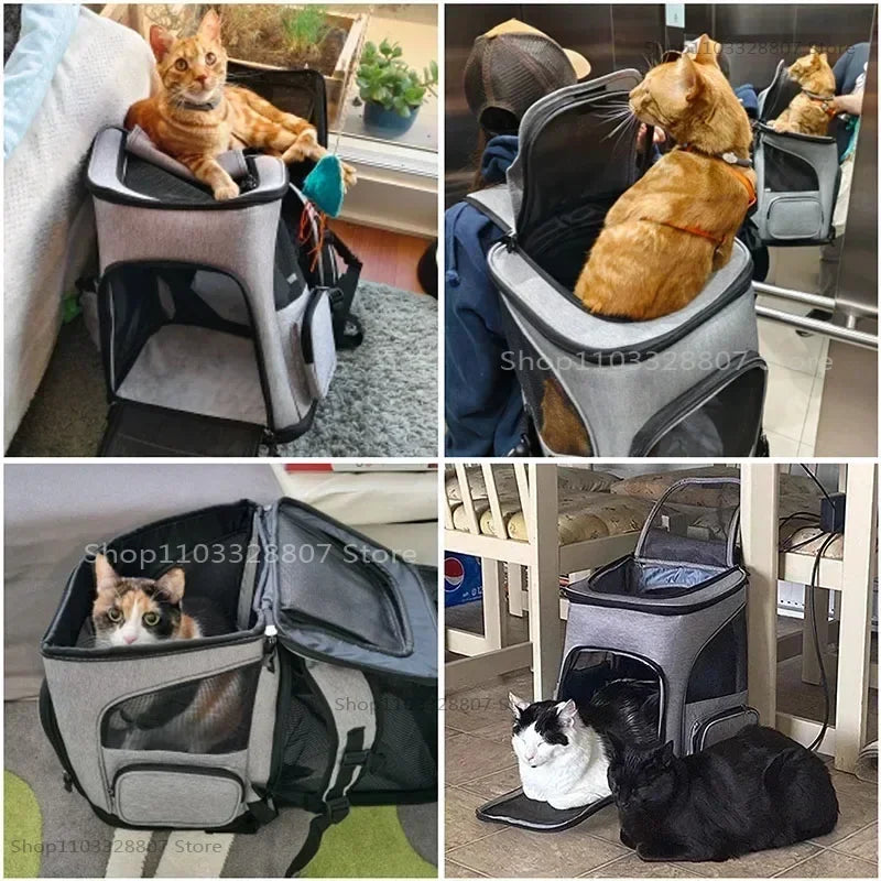 Sac de Transport Chat Dorsal Extensible Nylon