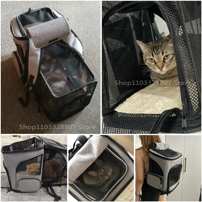Sac de Transport Chat Dorsal Aéré Compact