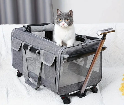 Sac de Transport Chat Grande Capacité Trolley