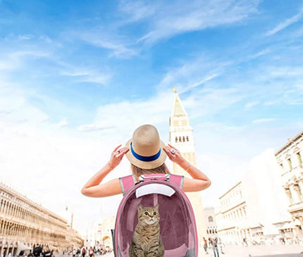 Sac de Transport Chat Dorsal Transparent Capsule