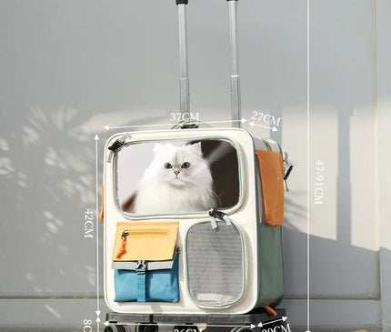 Sac de Transport Chat Grand Voyage Convertible