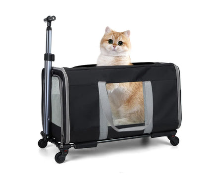 Sac de Transport Chat Chariot Robuste Voyage