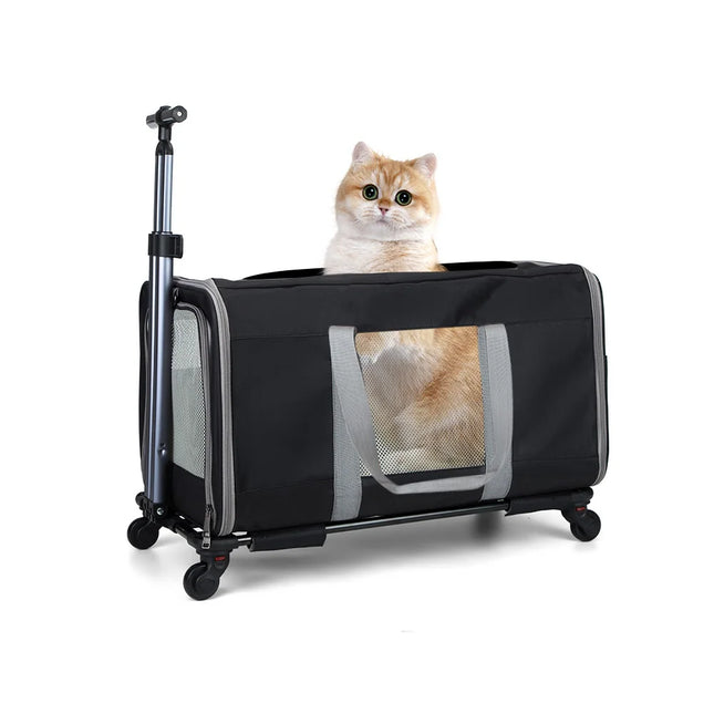 Sac de Transport Chat Chariot Robuste Voyage