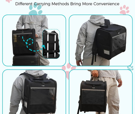 Sac de Transport Chat Grande Taille Pliable