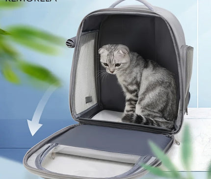 Sac de Transport Chat Capsule Respirante