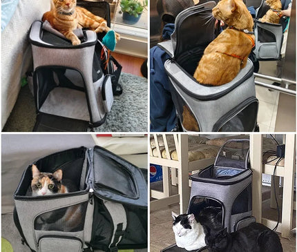 Sac de Transport Chat Dorsal Extensible Aéré