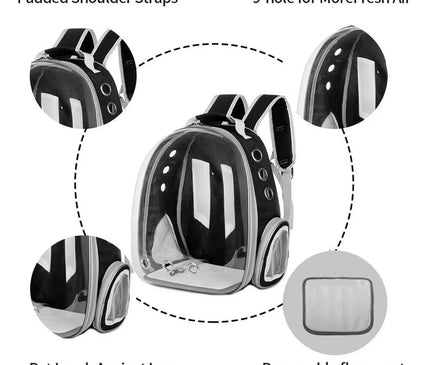 Sac de Transport Chat Portable et Ventilé