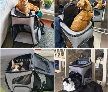 Sac de Transport Chat Dorsal Grande Capacité Aéré