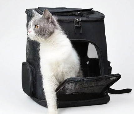 Sac de Transport Chat Extensible Respirant Pliable