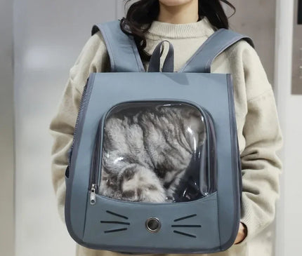 Sac de Transport Chat à Bretelles Transparent