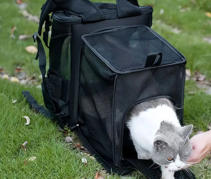 Sac de Transport Chat Extensible Respirant Pliable